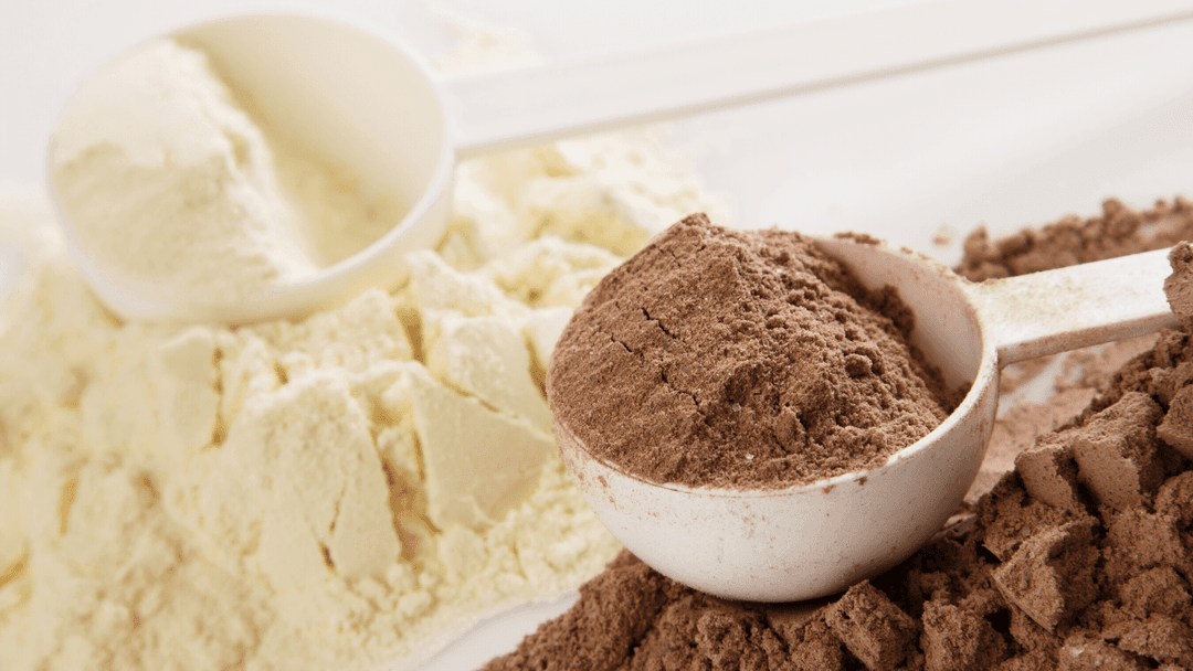 Which is Better For Muscle Growth? Whey or Plant-Based Protein Powder?